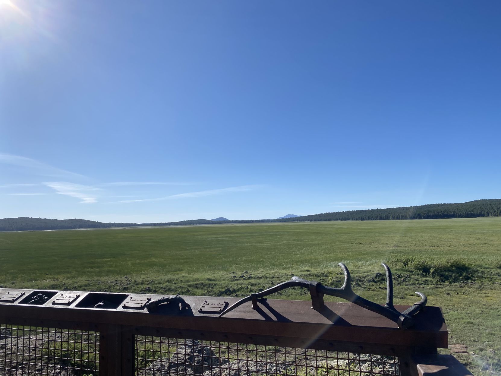Rogers Lake is not only a hiking and biking-firendly area but home to a vast variety of wildlife.jpg